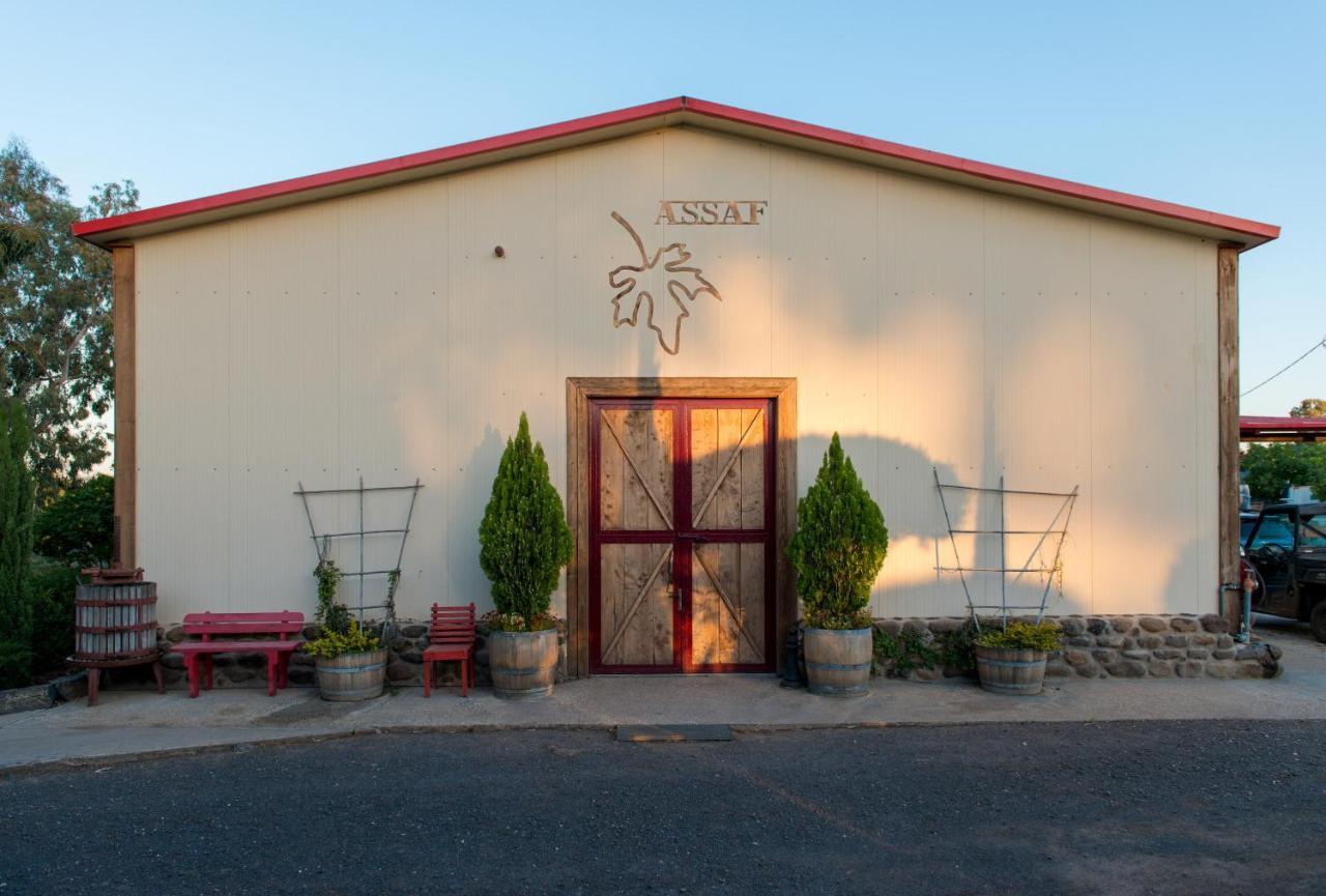 Assaf Boutique Winery & Cabins Kidmat Tsvi Екстер'єр фото